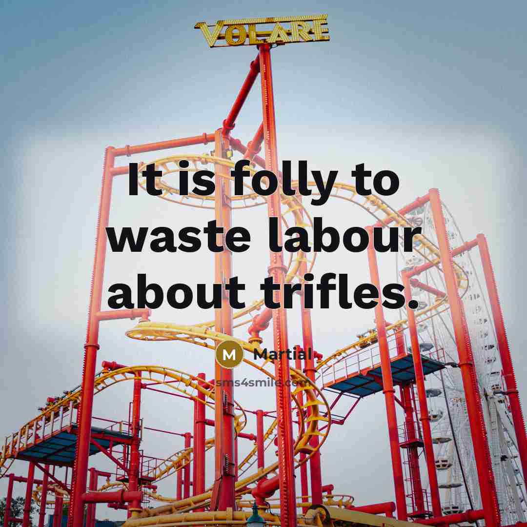 “It is folly to waste labour about trifles.…” quote by Martial