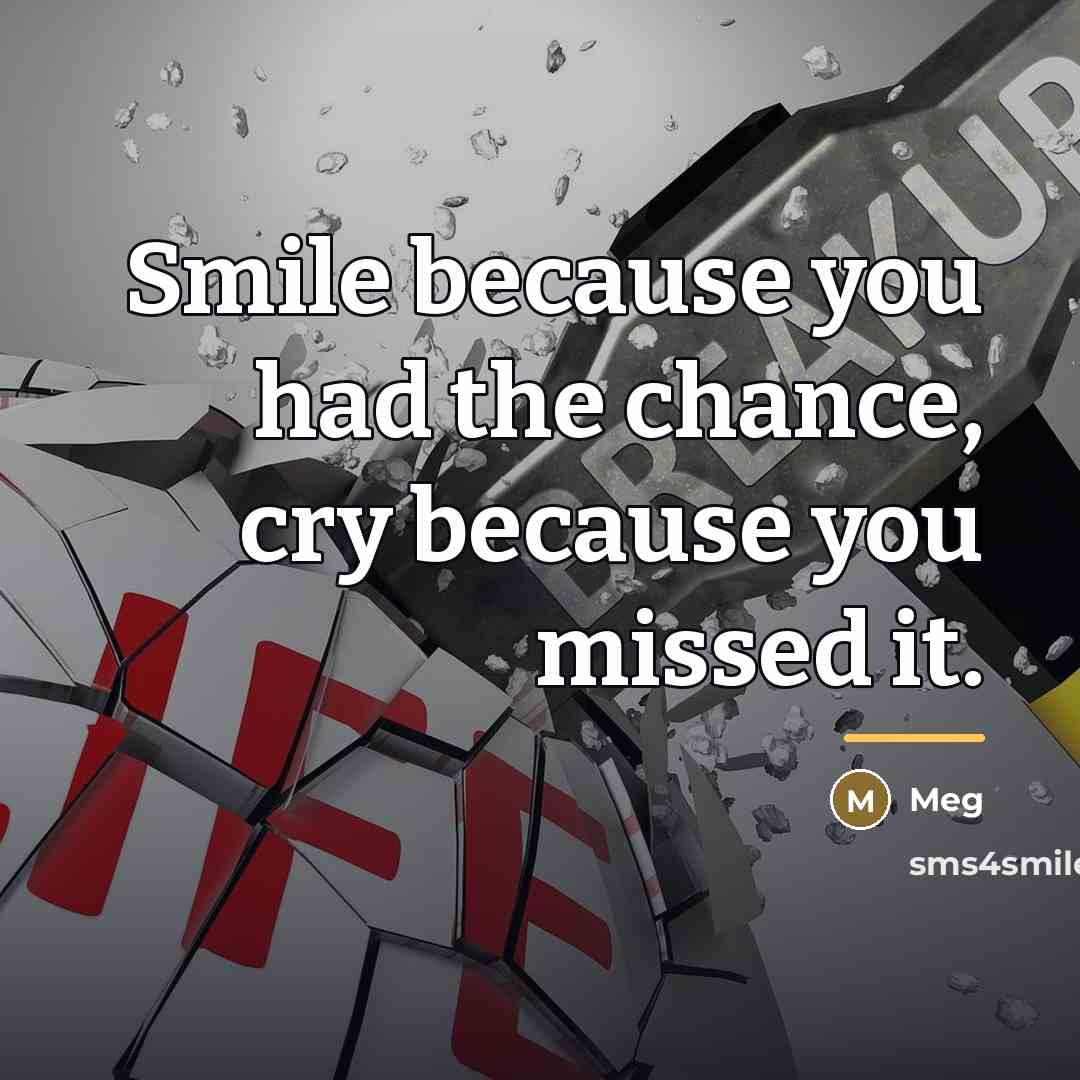 “Smile because you had the chance, cry because you missed…” quote by Meg