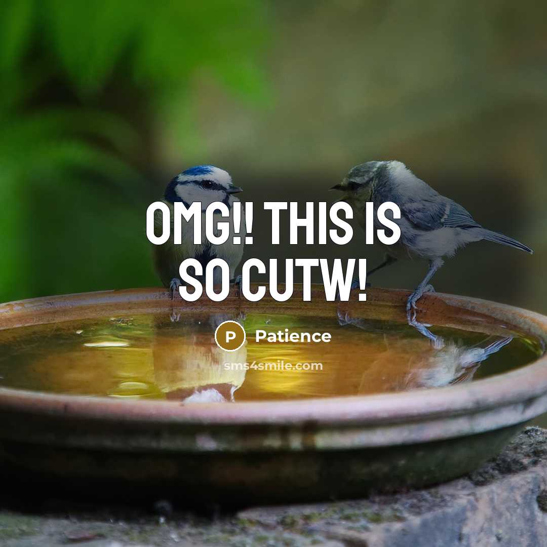 “Omg!! this is so cutw!” quote by Patience