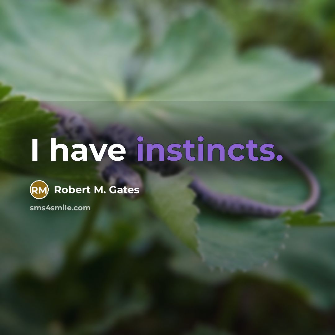 “I have instincts.” quote by Robert M. Gates