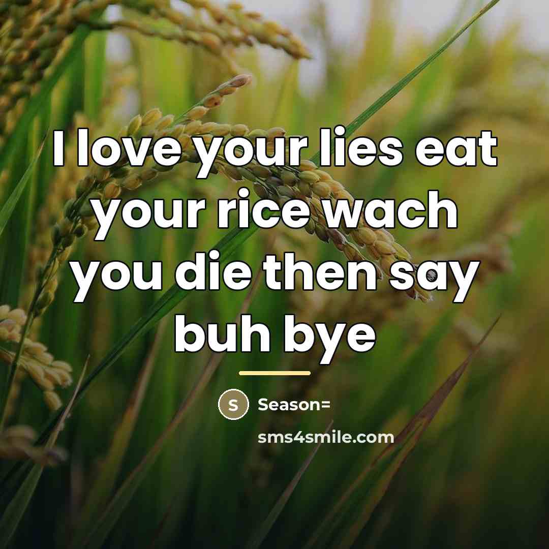 “I love your lies eat your rice wach you die…” quote by Season