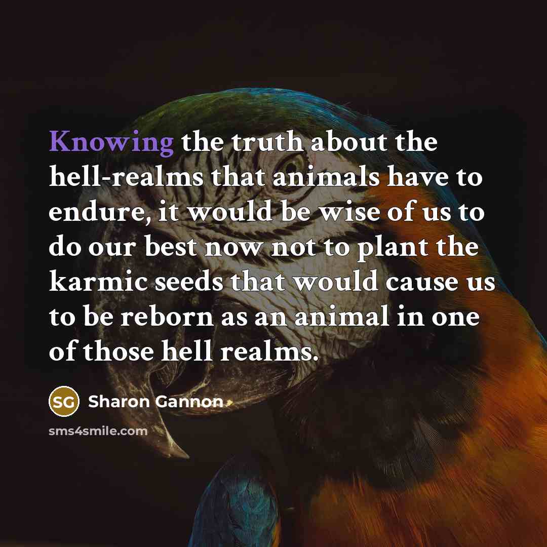 “Knowing the truth about the hell-realms that animals have to…” quote by Sharon Gannon