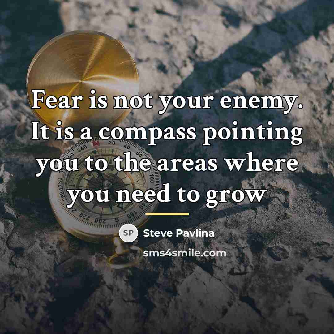 “Fear is not your enemy. It is a compass pointing…” quote by Steve Pavlina