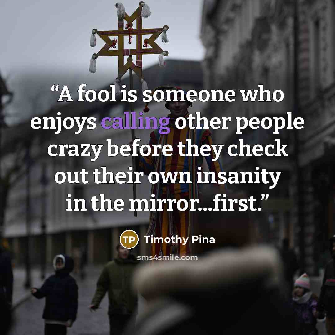 “A fool is someone who enjoys calling other people crazy before they check out their own insanity in the mirror...first.” quote by Timothy Pina