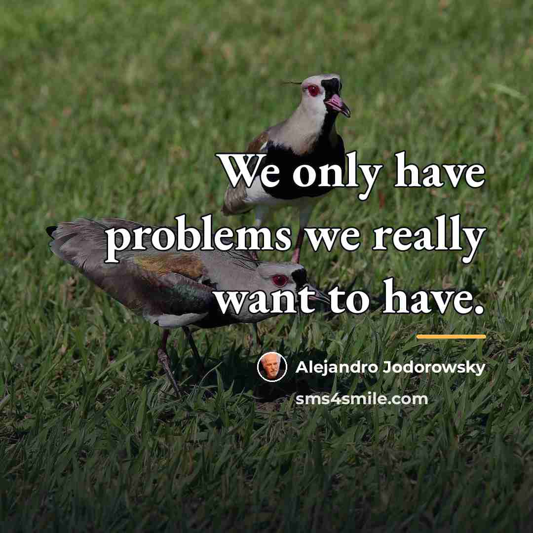 “We only have problems we really want to have.…” quote by Alejandro Jodorowsky