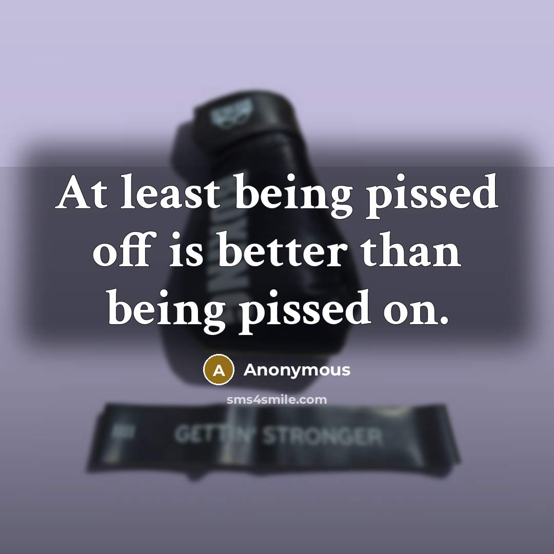 “At least being pissed off is better than being pissed…” quote by Anonymous