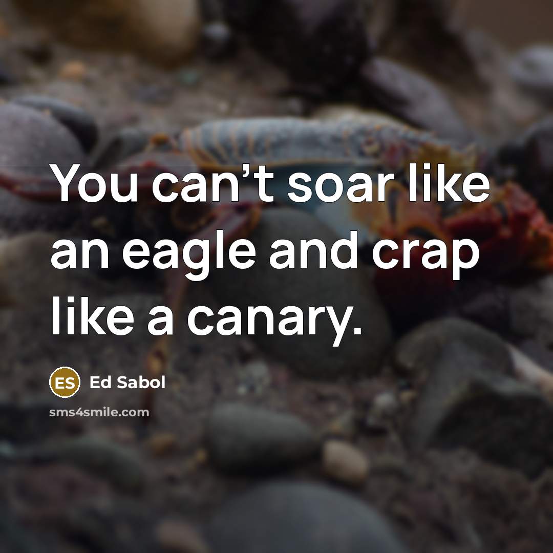 “You can't soar like an eagle and crap like a…” quote by Ed Sabol