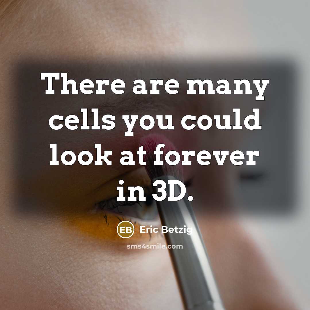 “There are many cells you could look at forever in…” quote by Eric Betzig