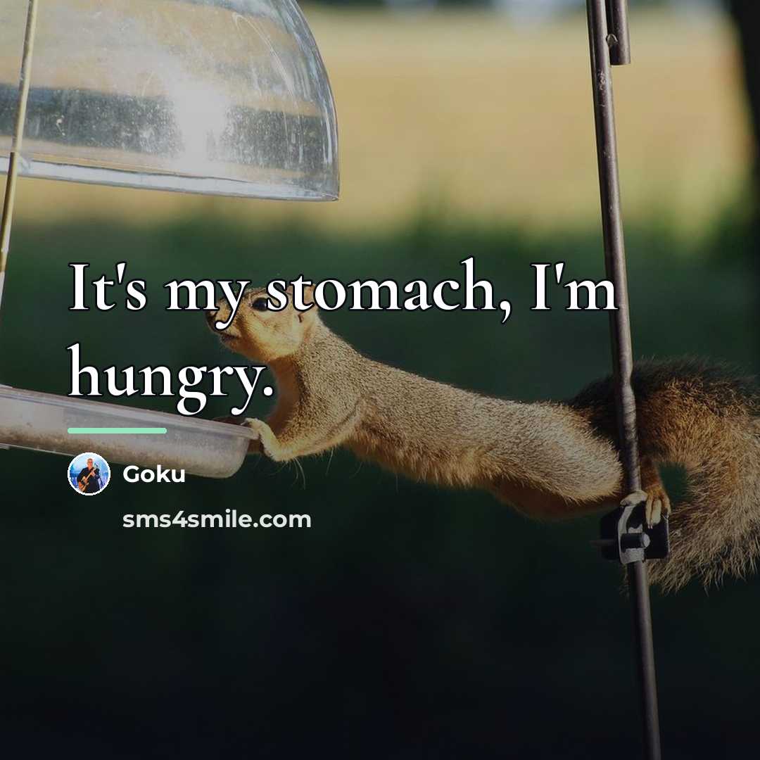 “It's my stomach, I'm hungry.…” quote by Goku