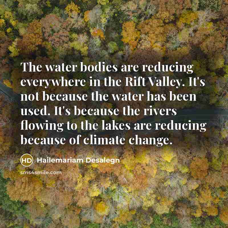 “The water bodies are reducing everywhere in the Rift Valley.…” quote by Hailemariam Desalegn