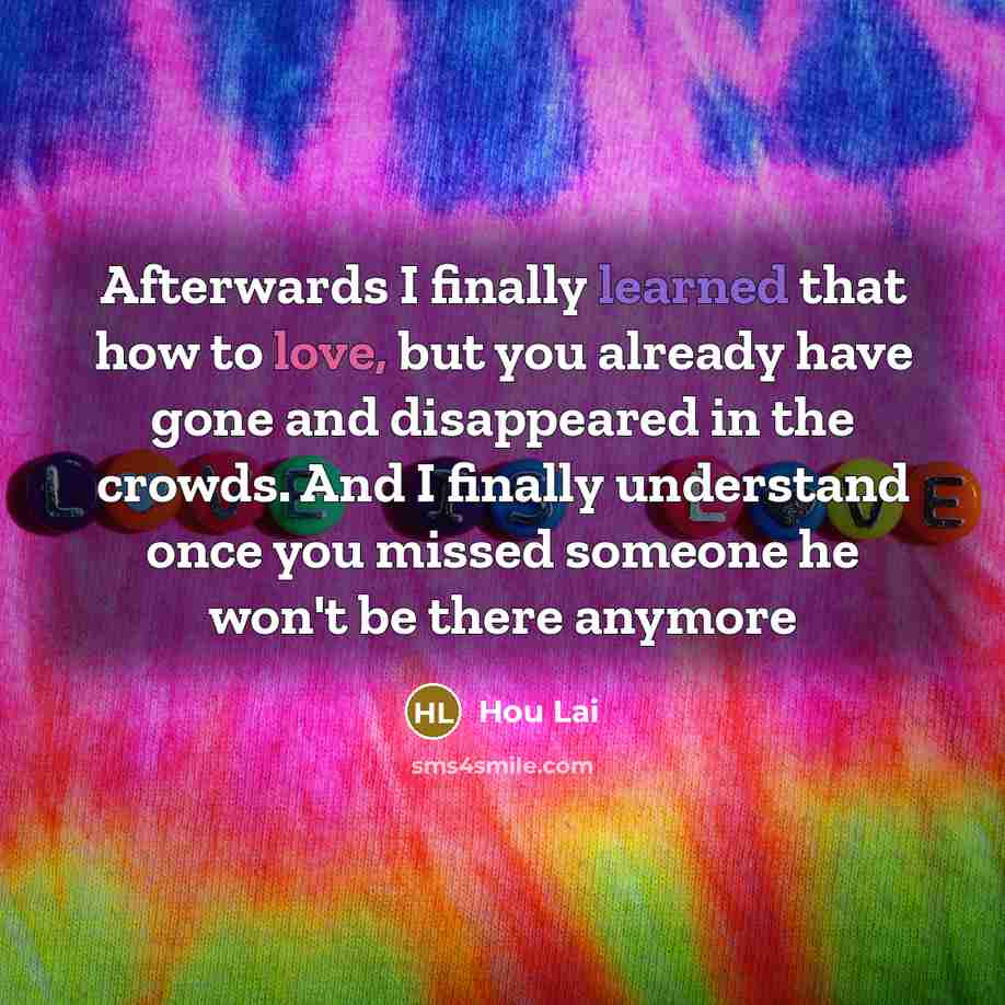 “Afterwards I finally learned that how to love, but you…” quote by Hou Lai