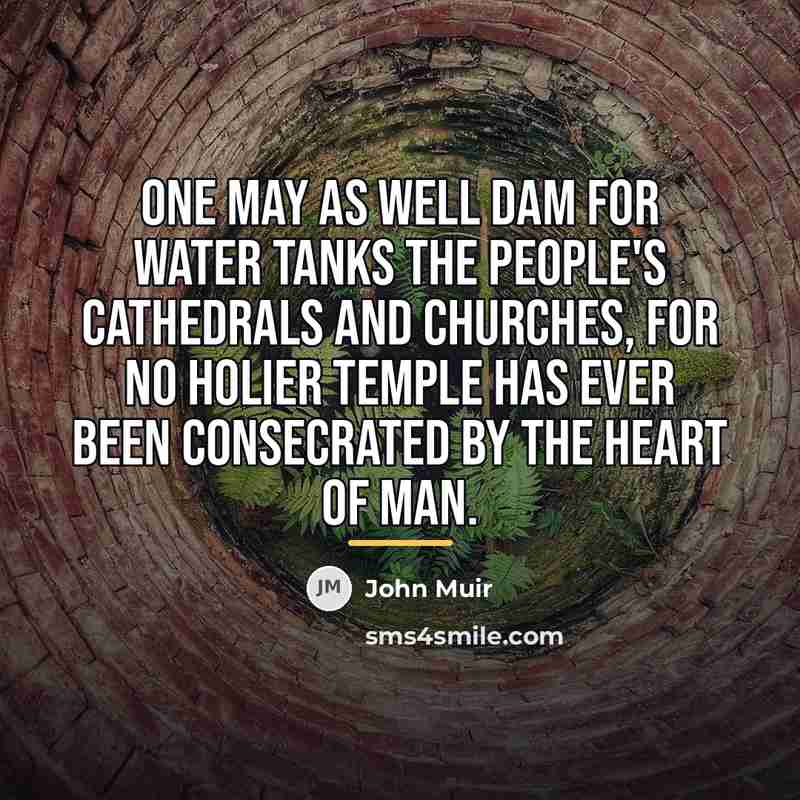 “One may as well dam for water tanks the people's…” quote by John Muir