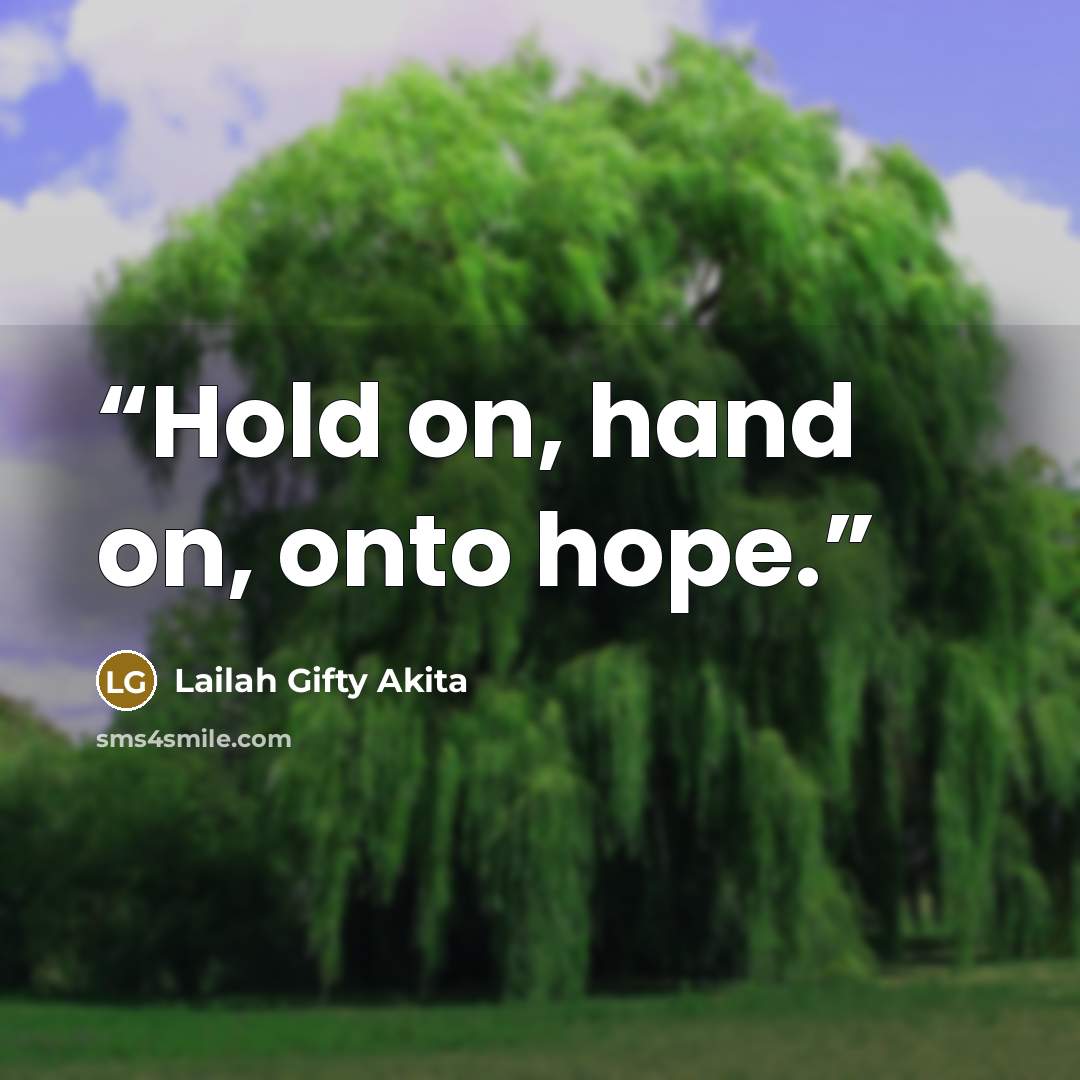 “Hold on, hand on, onto hope.” quote by Lailah Gifty Akita
