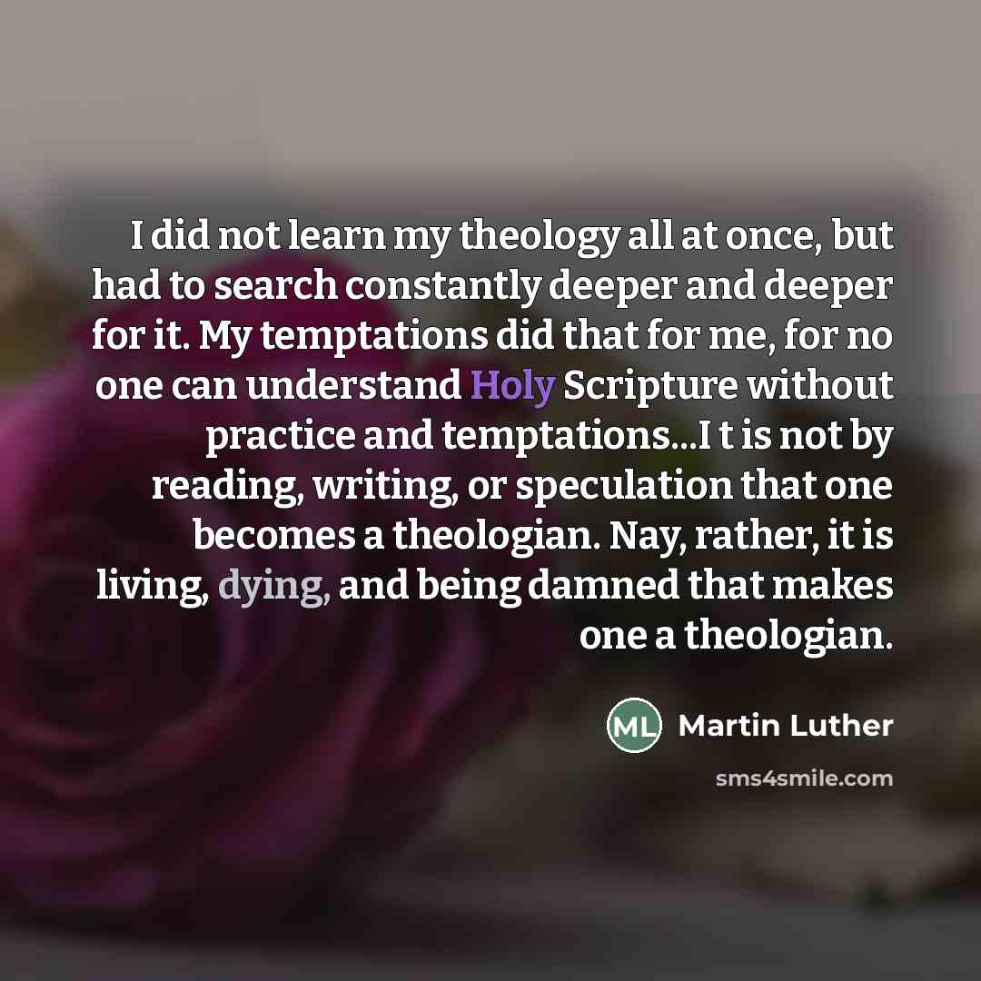 “I did not learn my theology all at once, but…” quote by Martin Luther