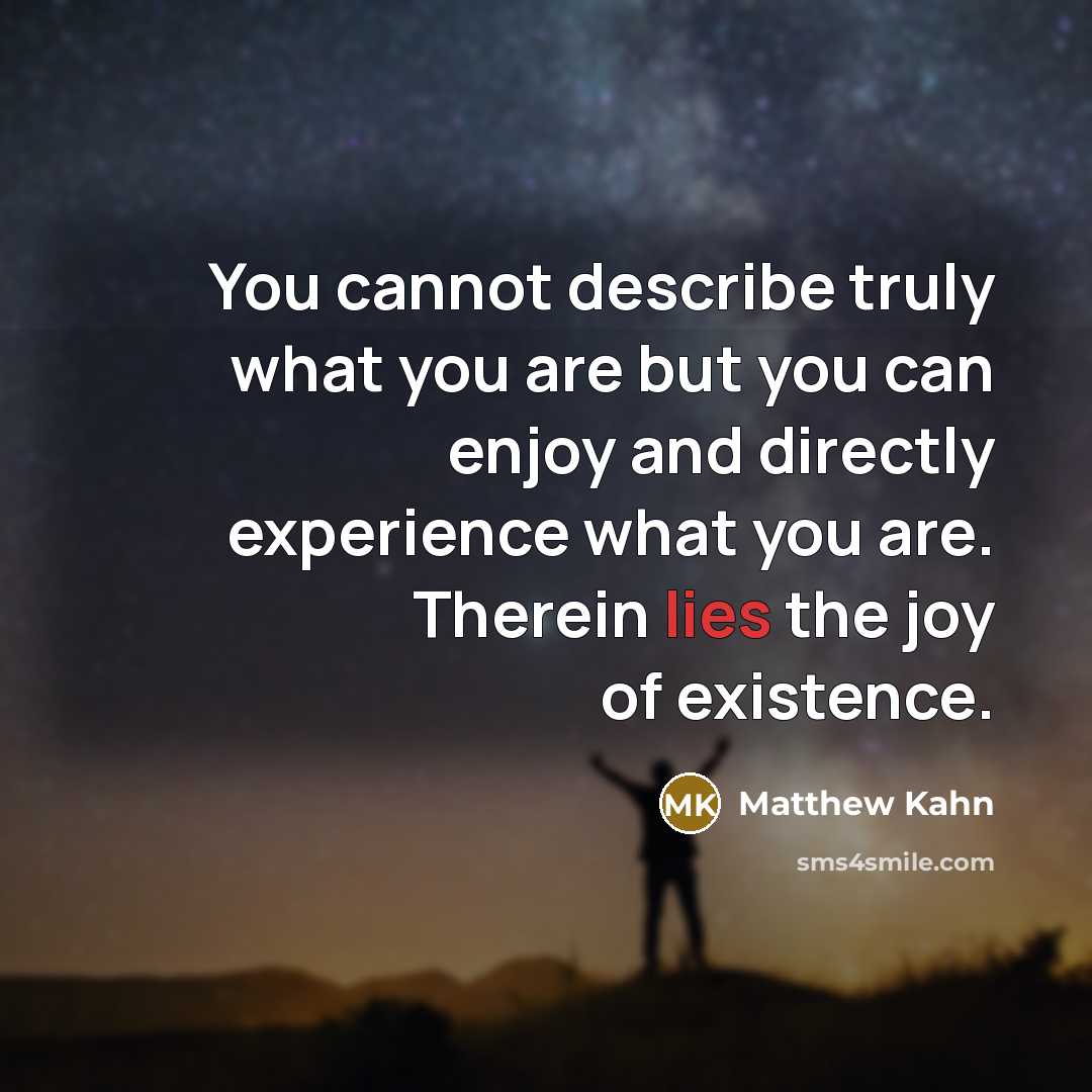 “You cannot describe truly what you are but you can…” quote by Matthew Kahn