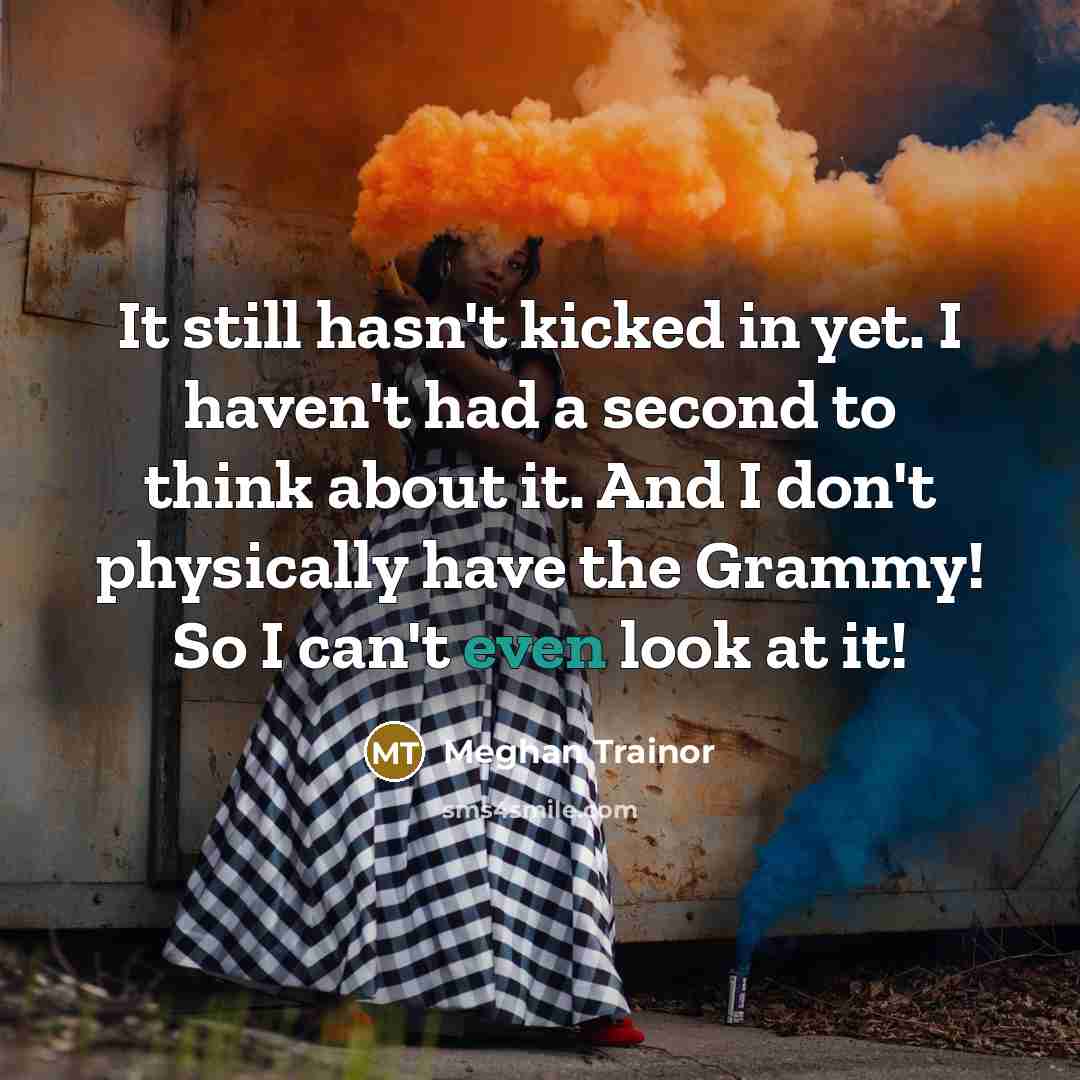 “It still hasn't kicked in yet. I haven't had a…” quote by Meghan Trainor