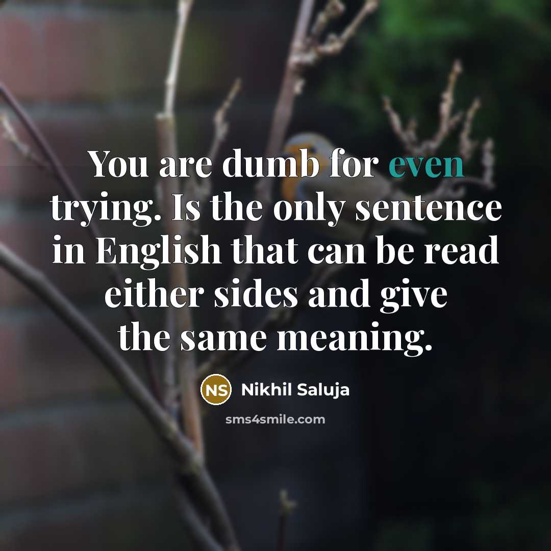 “You are dumb for even trying. Is the only sentence…” quote by Nikhil Saluja