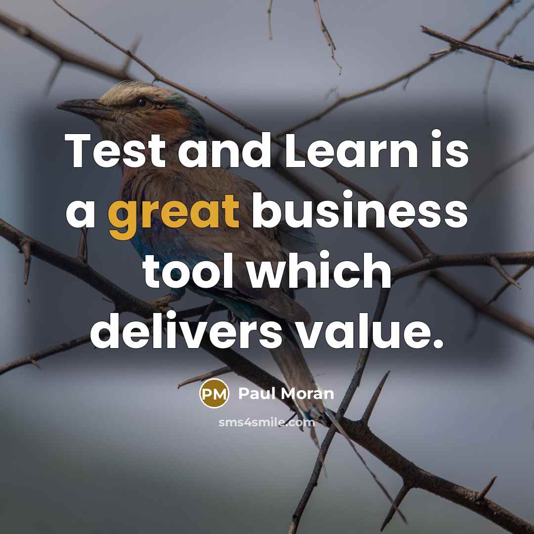 “Test and Learn is a great business tool which delivers value.” quote by Paul Moran