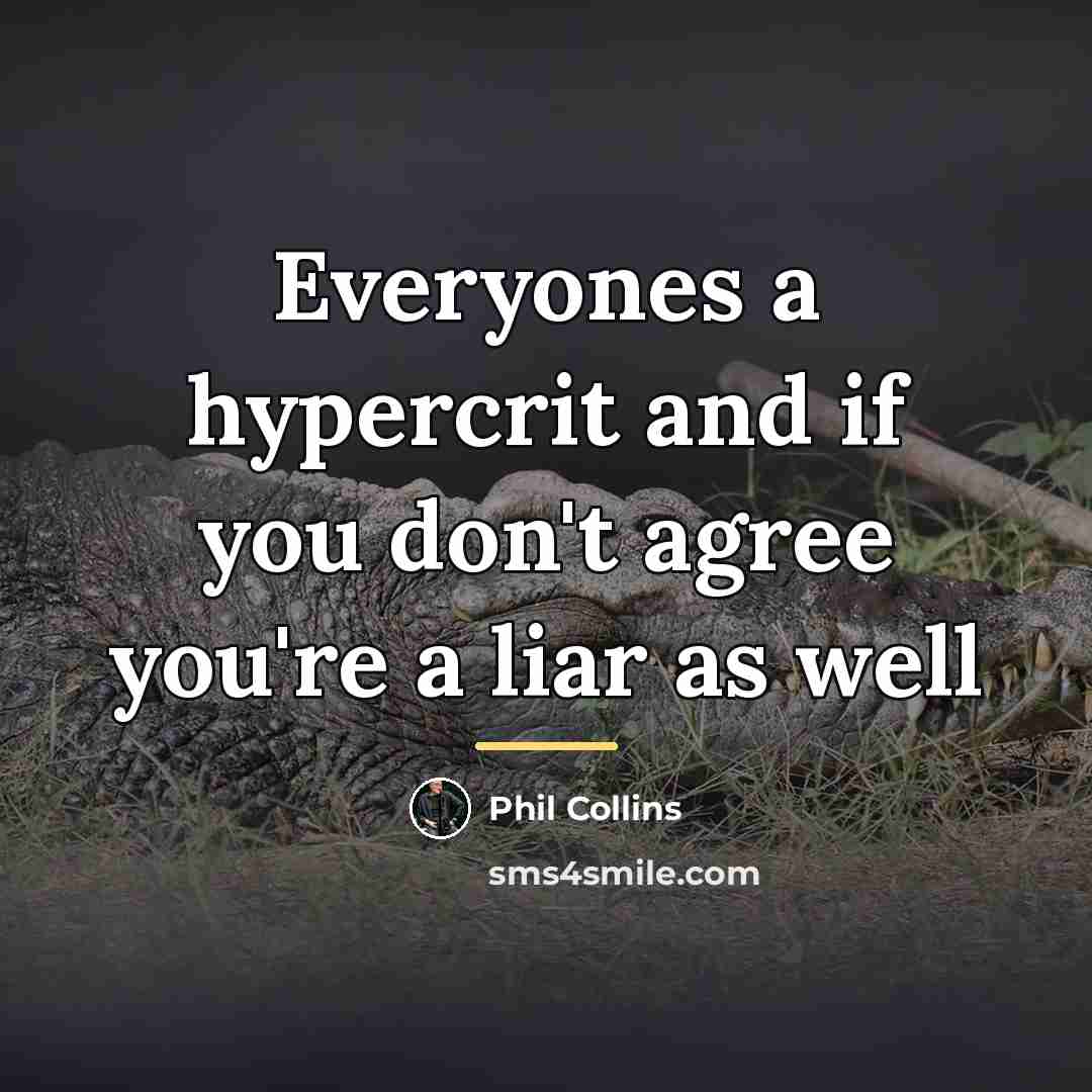 “Everyones a hypercrit and if you don't agree you're a…” quote by Phil Collins