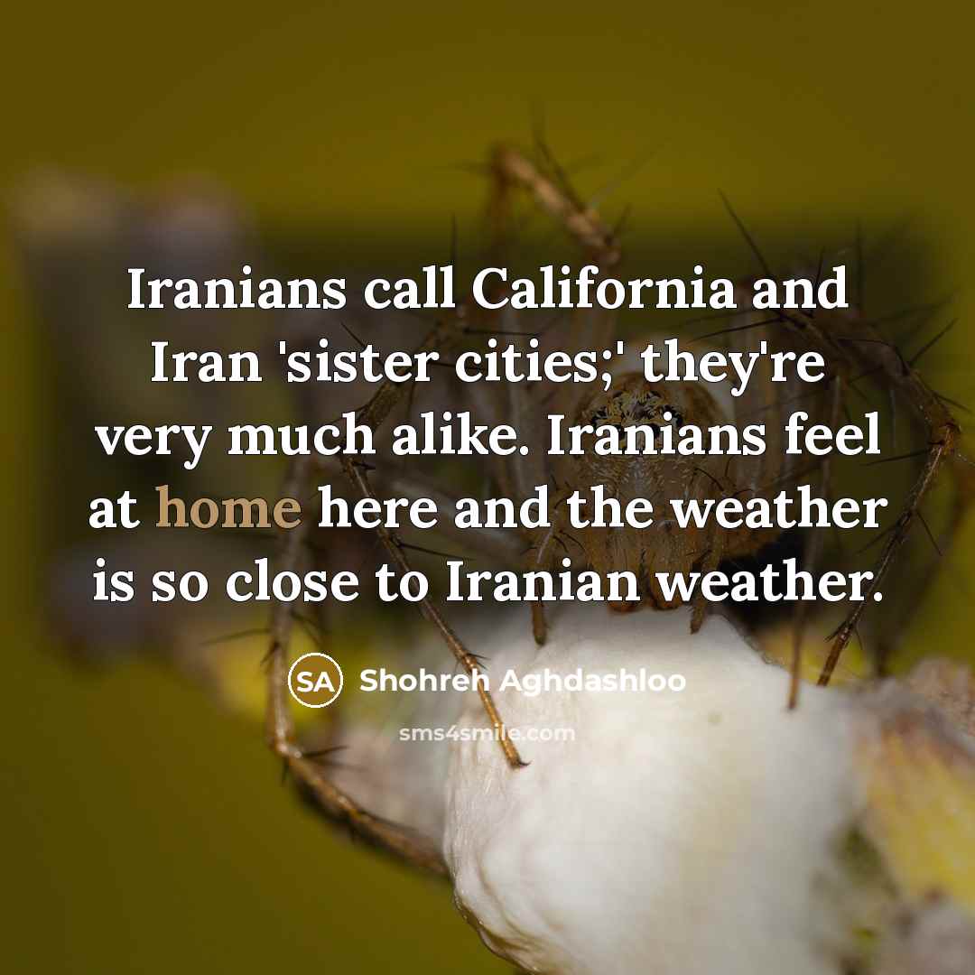 “Iranians call California and Iran 'sister cities;' they're very much…” quote by Shohreh Aghdashloo