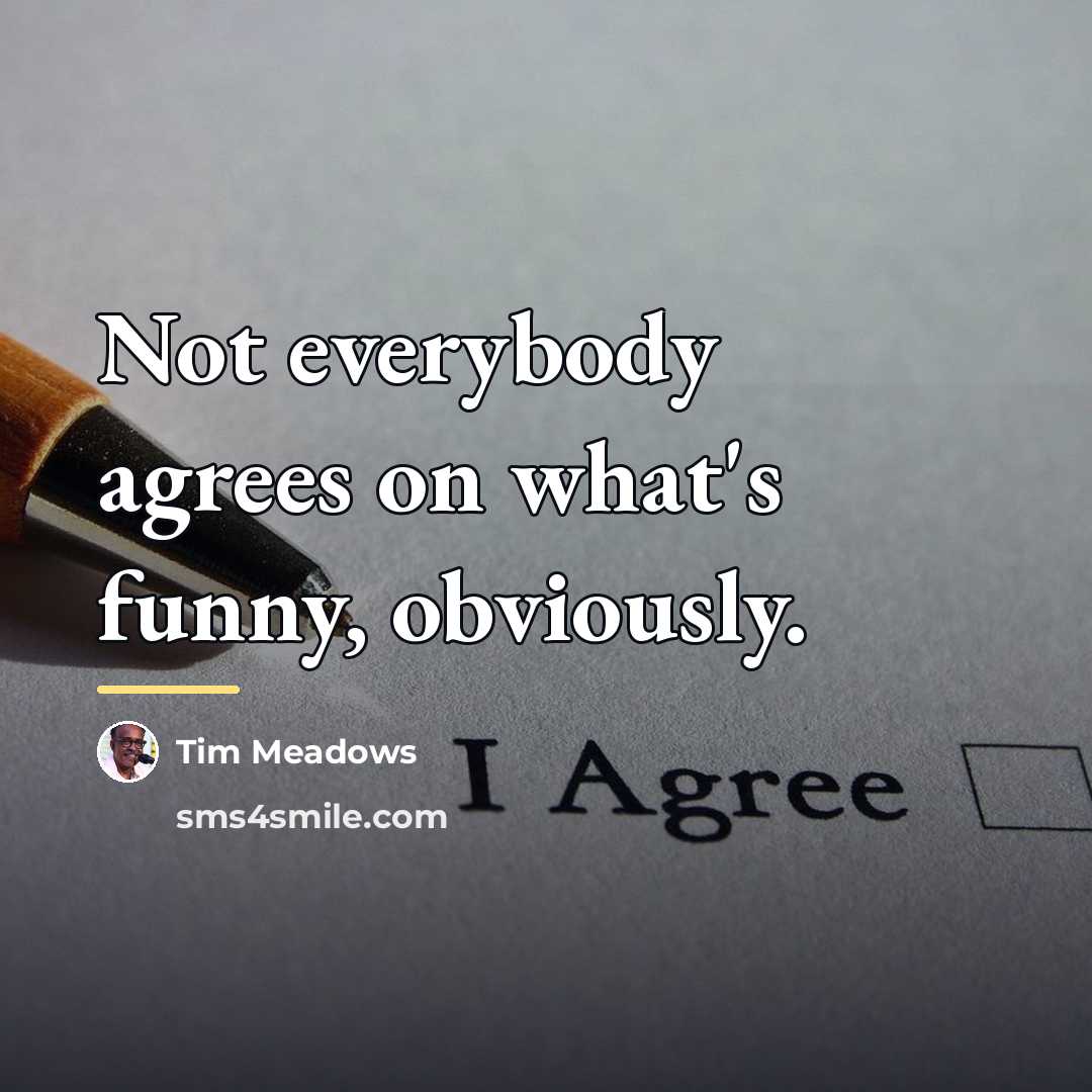 “Not everybody agrees on what's funny, obviously.…” quote by Tim Meadows