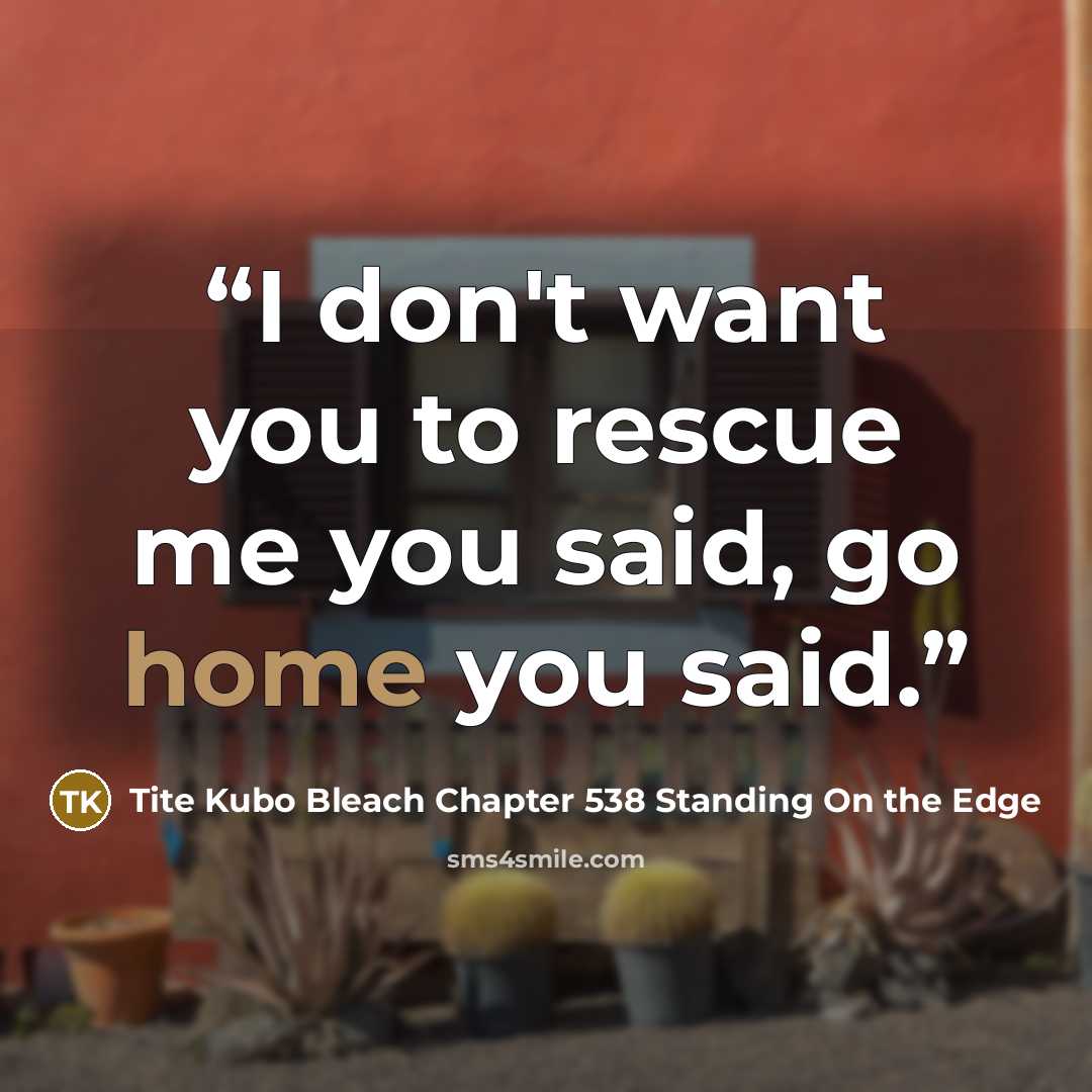 “I don't want you to rescue me you said, go home you said.” quote by Tite Kubo Bleach Chapter 538 Standing On the Edge