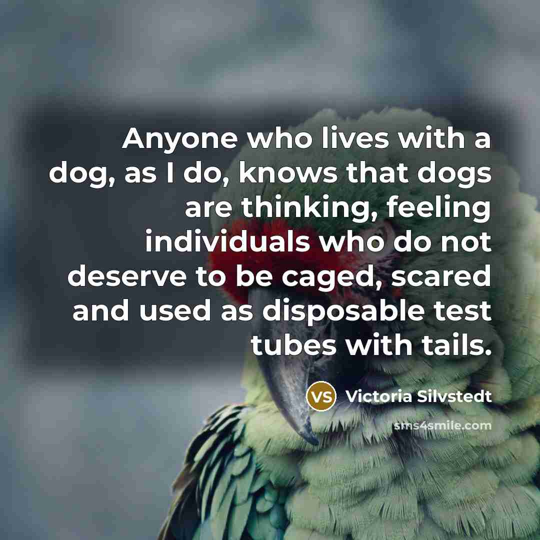 “Anyone who lives with a dog, as I do, knows that dogs are thinking, feeling individuals who do not deserve to be caged, scared and used as disposable test tubes with tails.” quote by Victoria Silvstedt