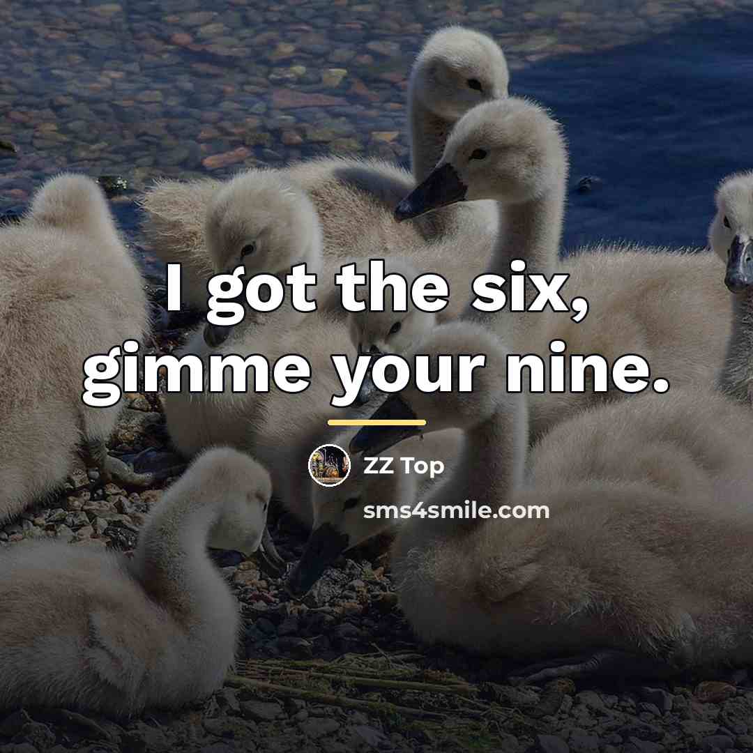 “I got the six, gimme your nine.…” quote by ZZ Top