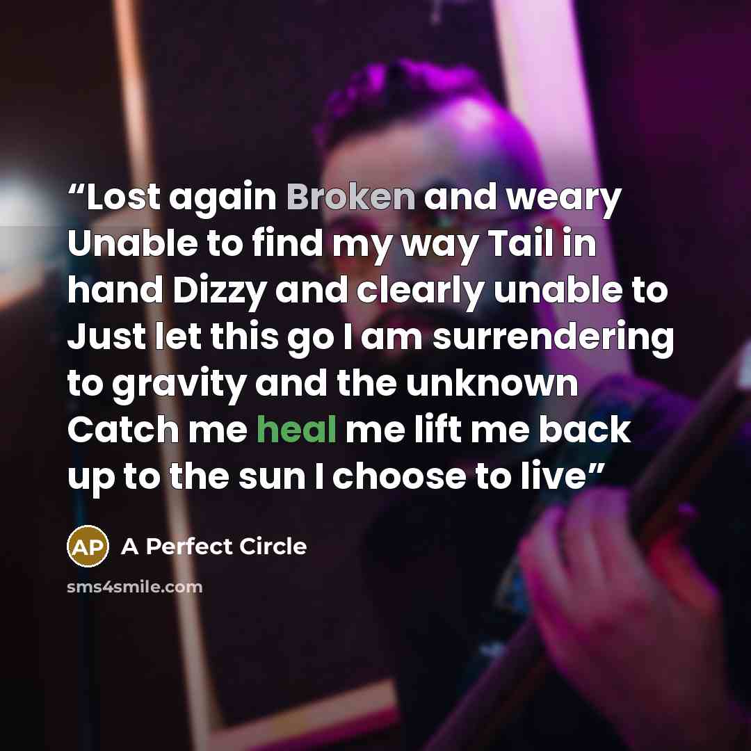 “Lost again Broken and weary Unable to find my way Tail in hand Dizzy and clearly unable to Just let this go I am surrendering to gravity and the unknown Catch me heal me lift me back up to the sun I choose to live” quote by A Perfect Circle