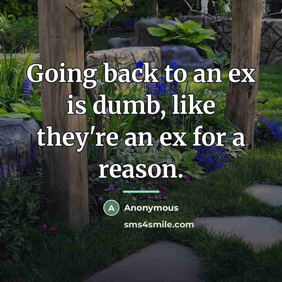 “Going back to an ex is dumb, like they're an…” quote by Anonymous