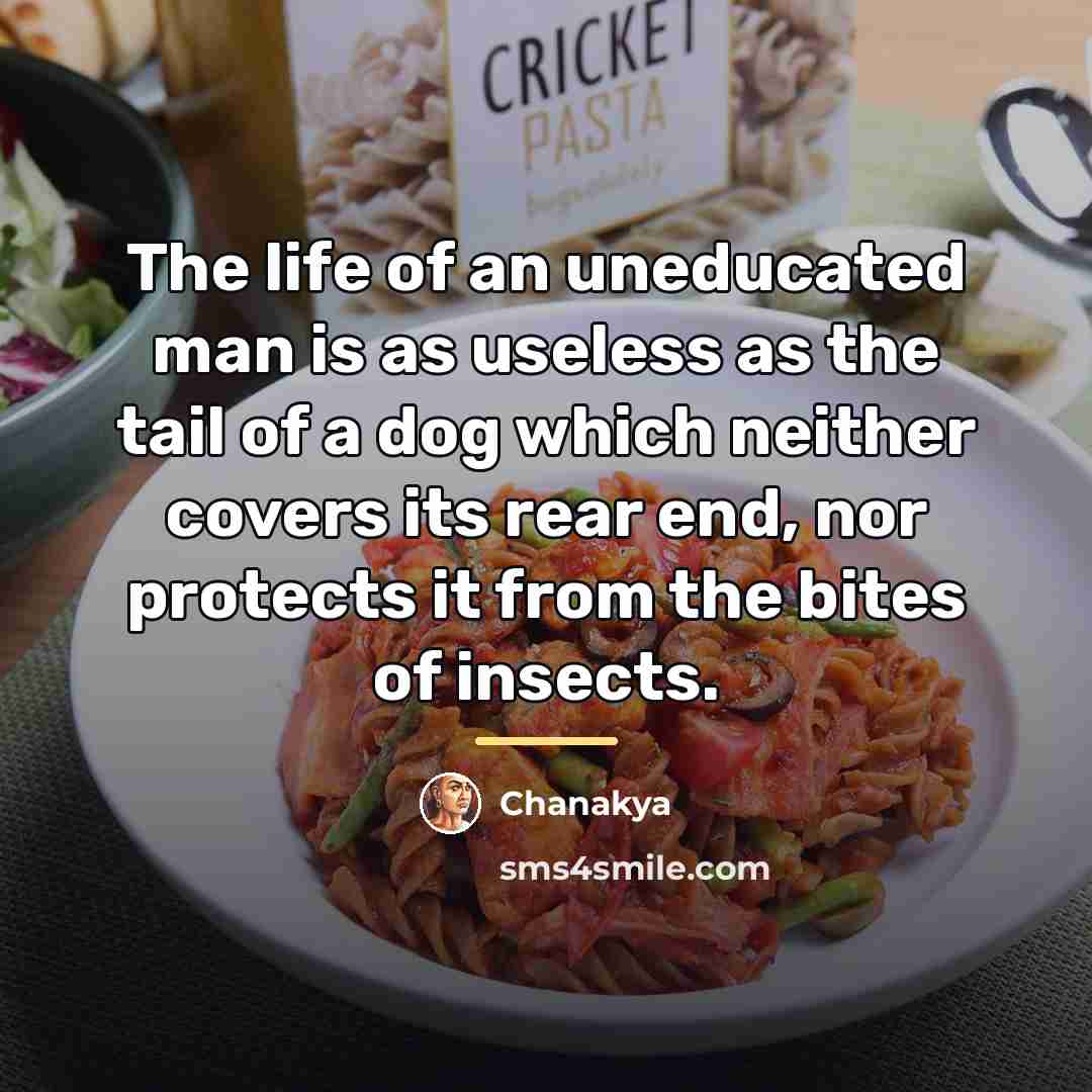 “The life of an uneducated man is as useless as…” quote by Chanakya