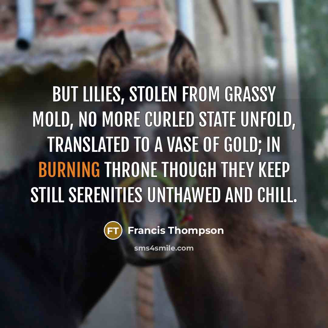 “But lilies, stolen from grassy mold, No more curled state…” quote by Francis Thompson