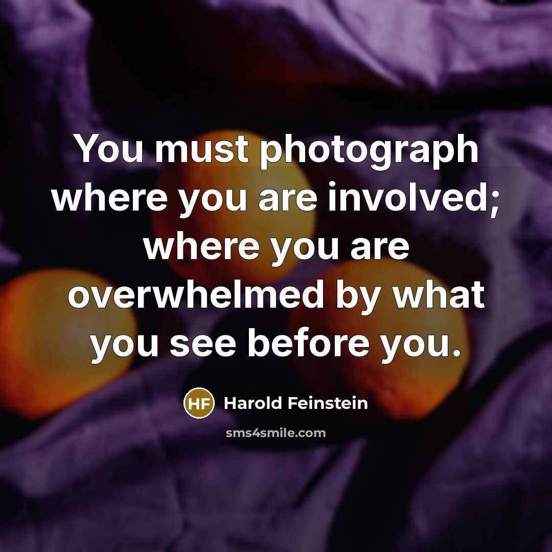 “You must photograph where you are involved; where you are…” quote by Harold Feinstein