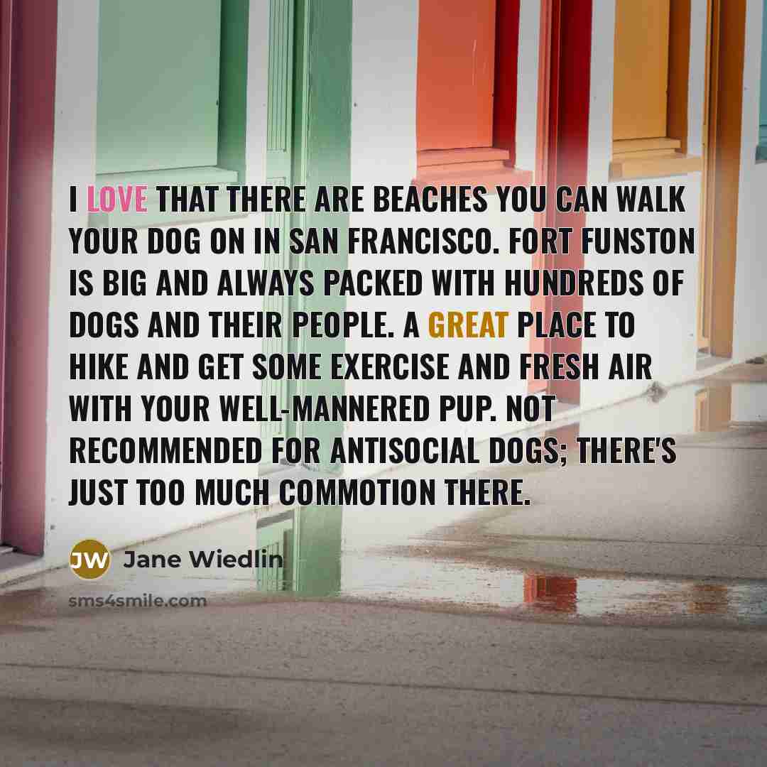 “I love that there are beaches you can walk your…” quote by Jane Wiedlin