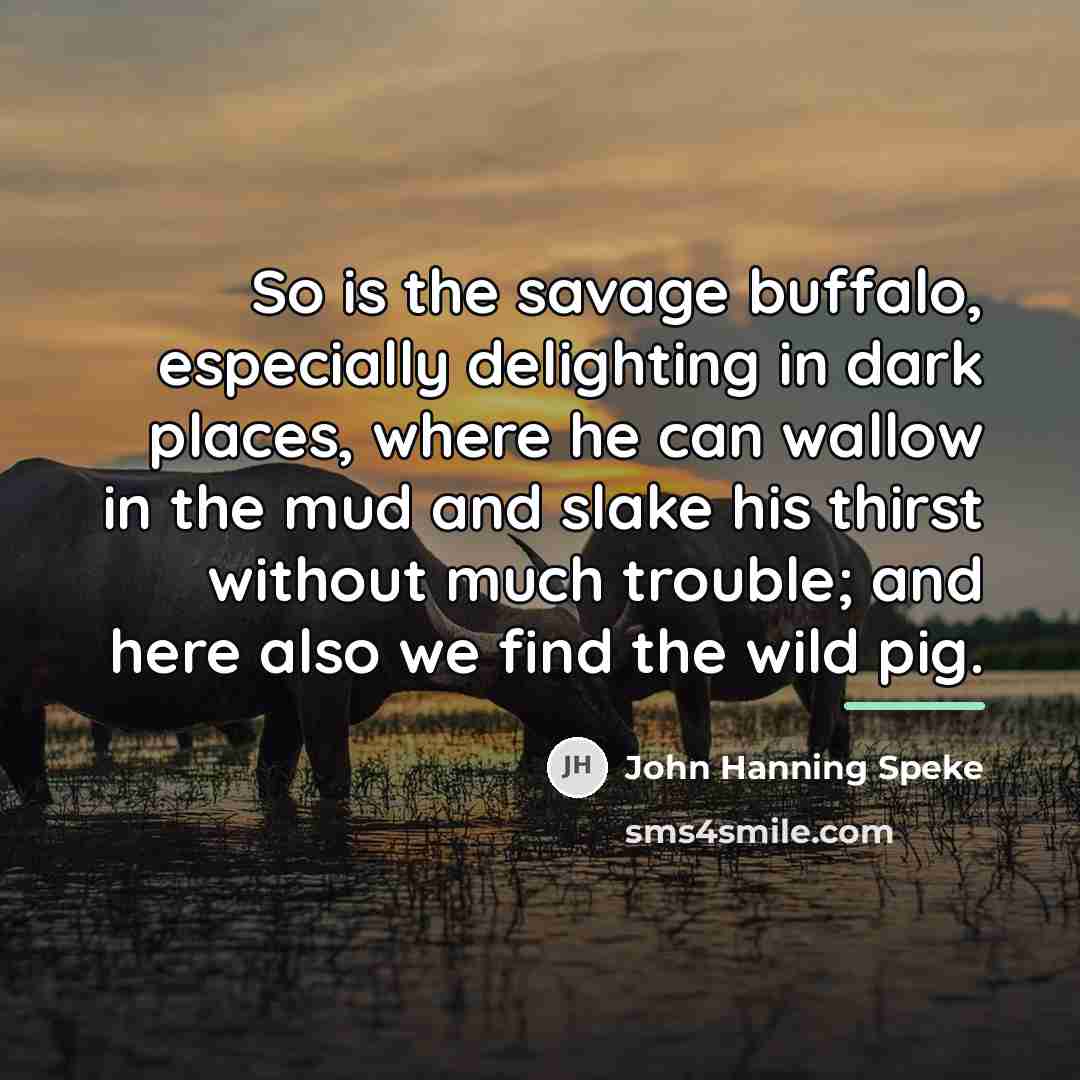 “So is the savage buffalo, especially delighting in dark places,…” quote by John Hanning Speke