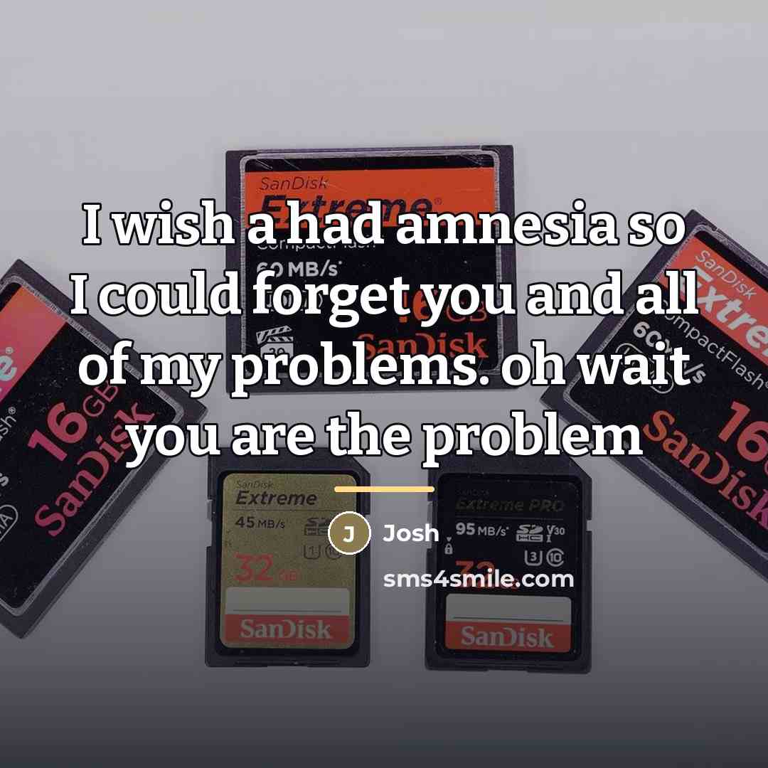 “I wish a had amnesia so I could forget you…” quote by Josh