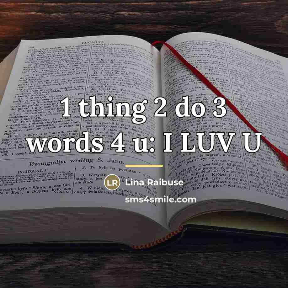 “1 thing 2 do 3 words 4 u: I LUV…” quote by Lina Raibuse
