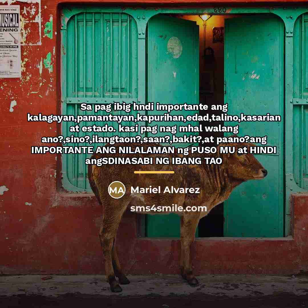 “Sa pag ibig hndi importante ang kalagayan,pamantayan,kapurihan,edad,talino,kasarian at estado. kasi pag nag mhal walang ano?,sino?,ilangtaon?,saan?,bakit?,at paano?ang IMPORTANTE ANG NILALAMAN ng PUSO MU at HINDI angSDINASABI NG IBANG TAO” quote by Mariel Alvarez