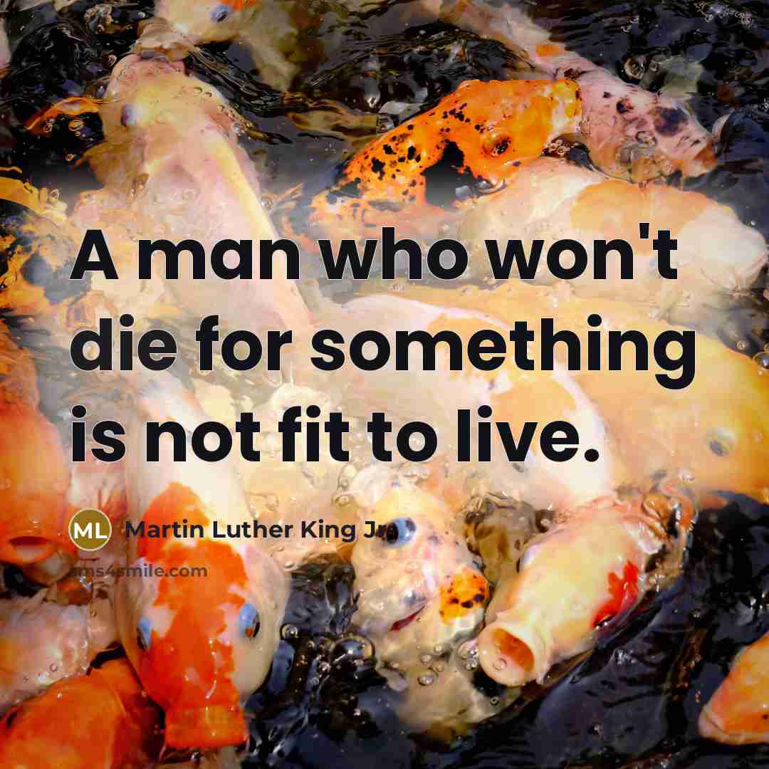 “A man who won't die for something is not fit to live.” quote by Martin Luther King Jr