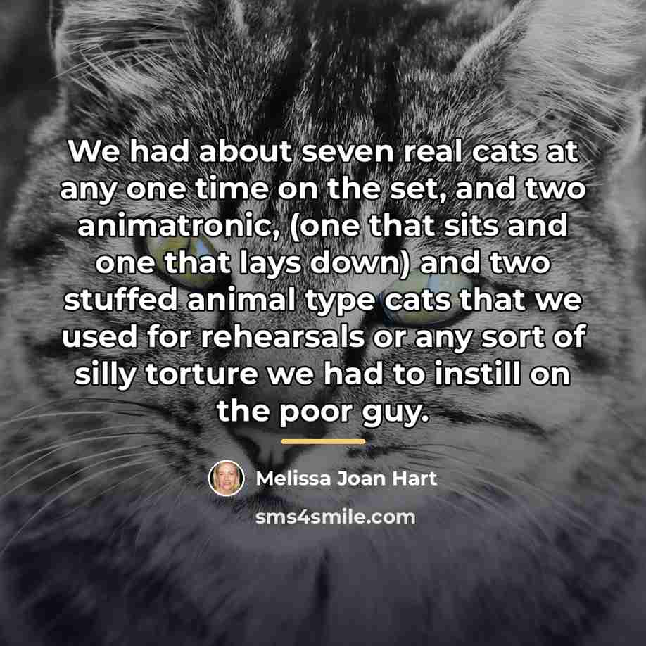 “We had about seven real cats at any one time…” quote by Melissa Joan Hart
