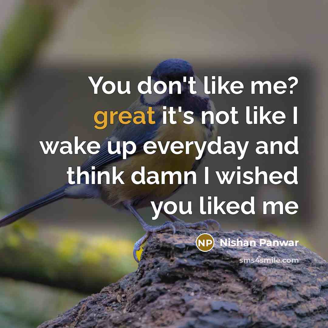 “You don't like me? great it's not like I wake…” quote by Nishan Panwar