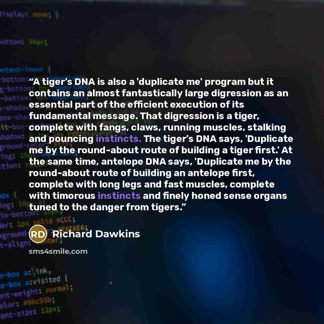 “A tiger's DNA is also a 'duplicate me' program but it contains an almost fantastically large digression as an essential part of the efficient execution of its fundamental message. That digression is a tiger, complete with fangs, claws, running muscles, stalking and pouncing instincts. The tiger's…” quote by Richard Dawkins