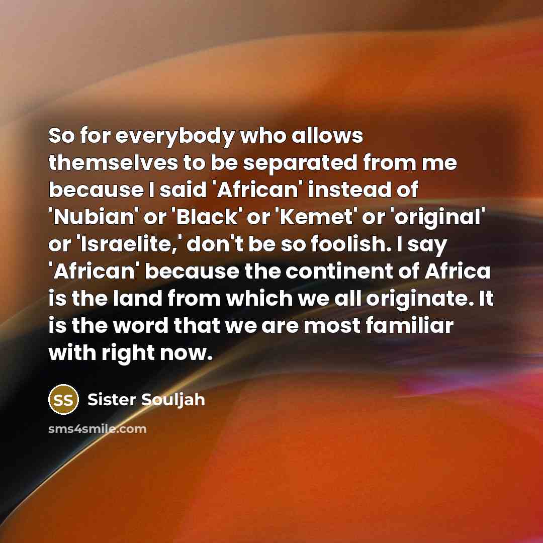 “So for everybody who allows themselves to be separated from…” quote by Sister Souljah