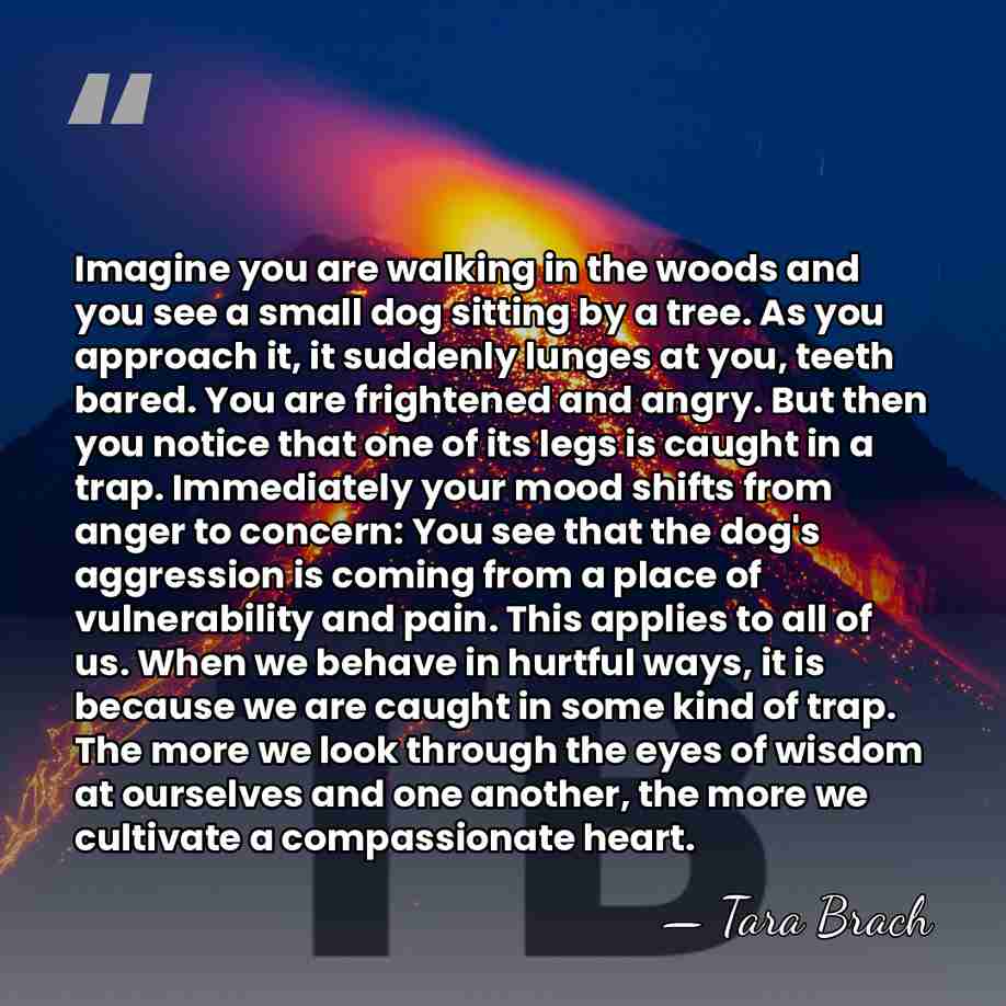 Imagine you are walking in the woods and you see a small&hellip; - Tara Brach