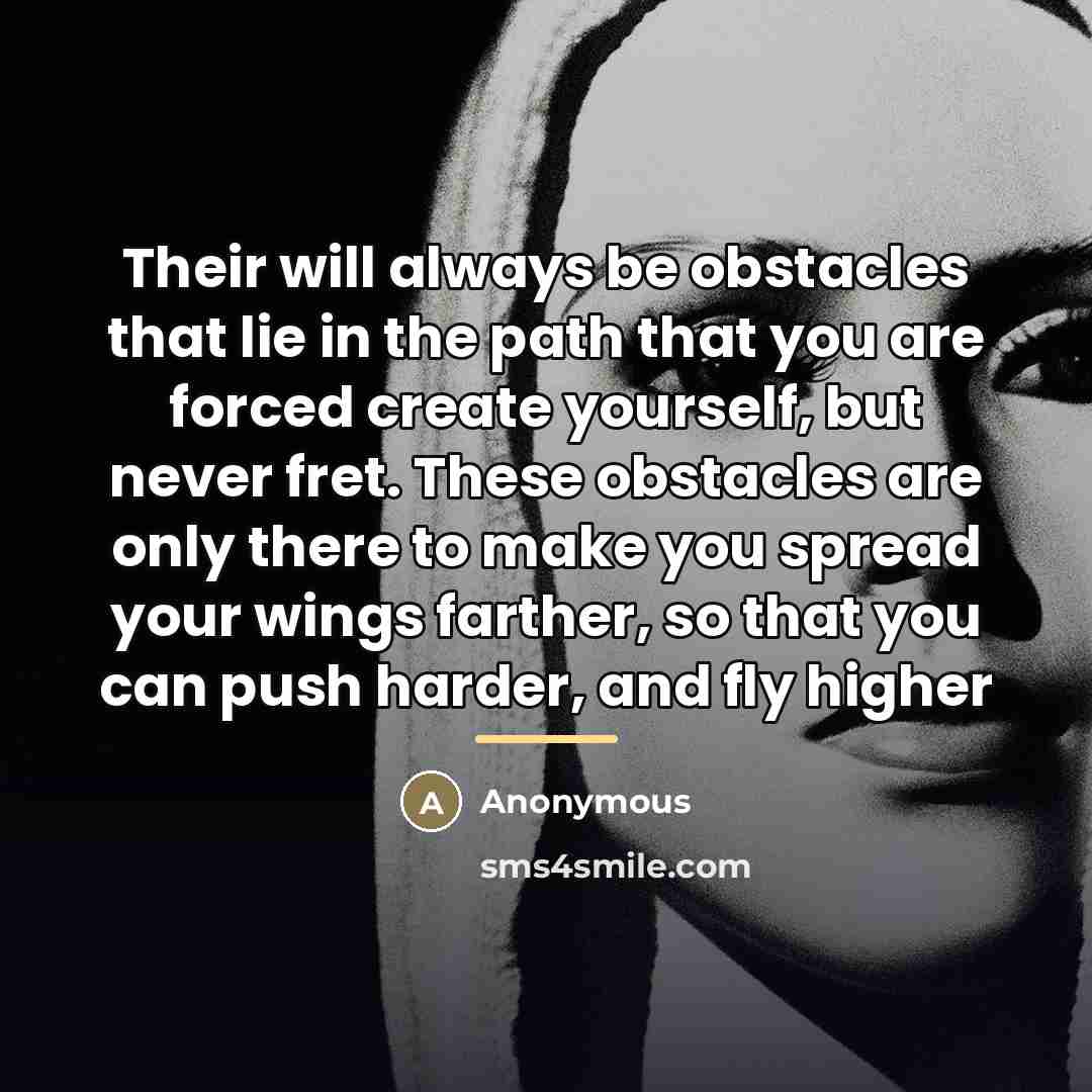 “Their will always be obstacles that lie in the path…” quote by Anonymous