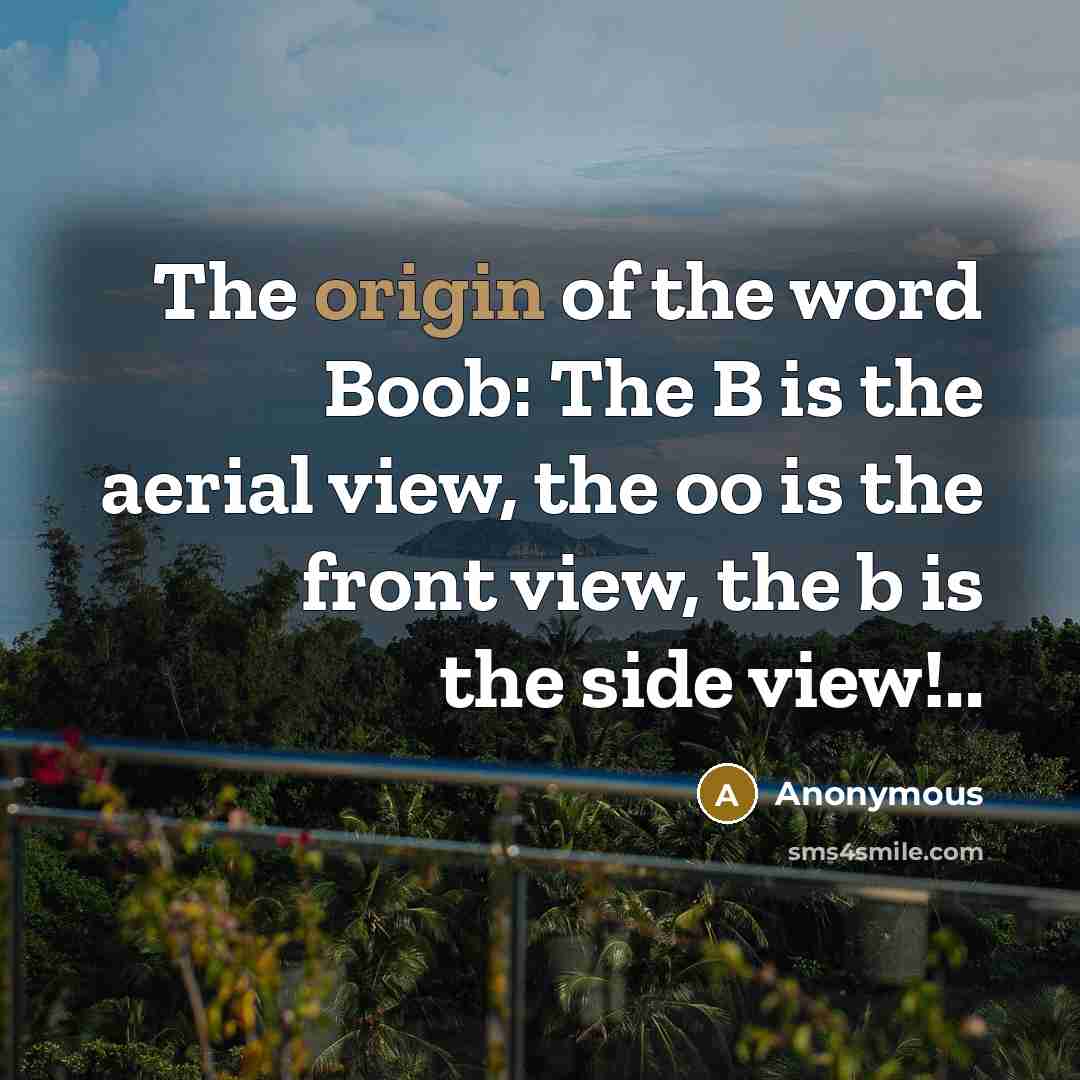 “The origin of the word Boob: The B is the…” quote by Anonymous