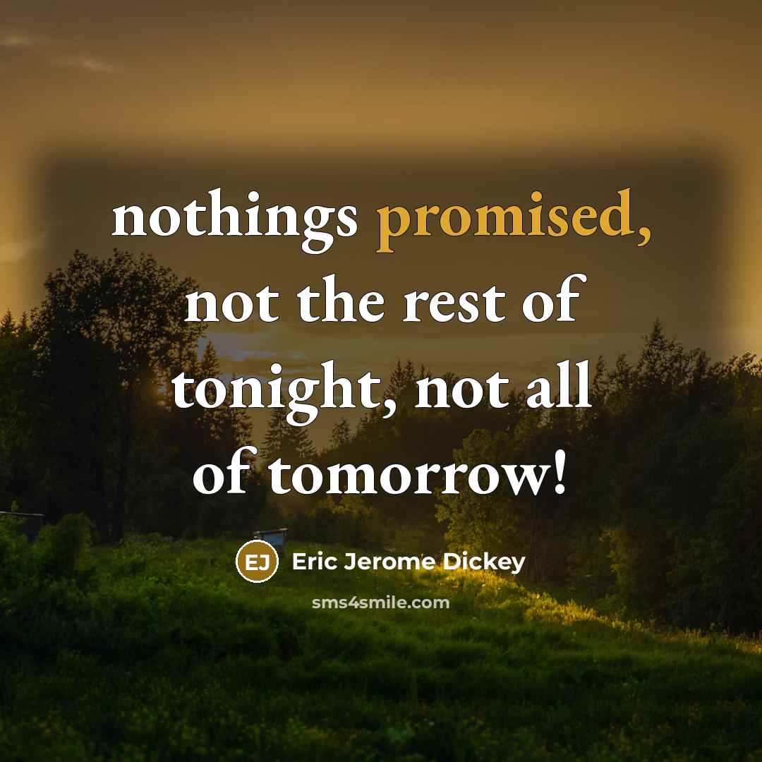 “nothings promised, not the rest of tonight, not all of tomorrow!” quote by Eric Jerome Dickey