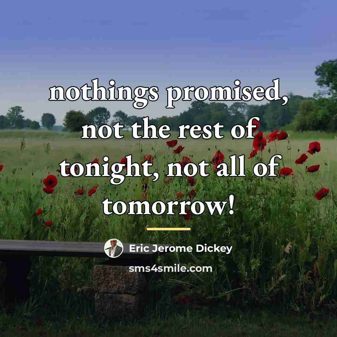 “nothings promised, not the rest of tonight, not all of…” quote by Eric Jerome Dickey