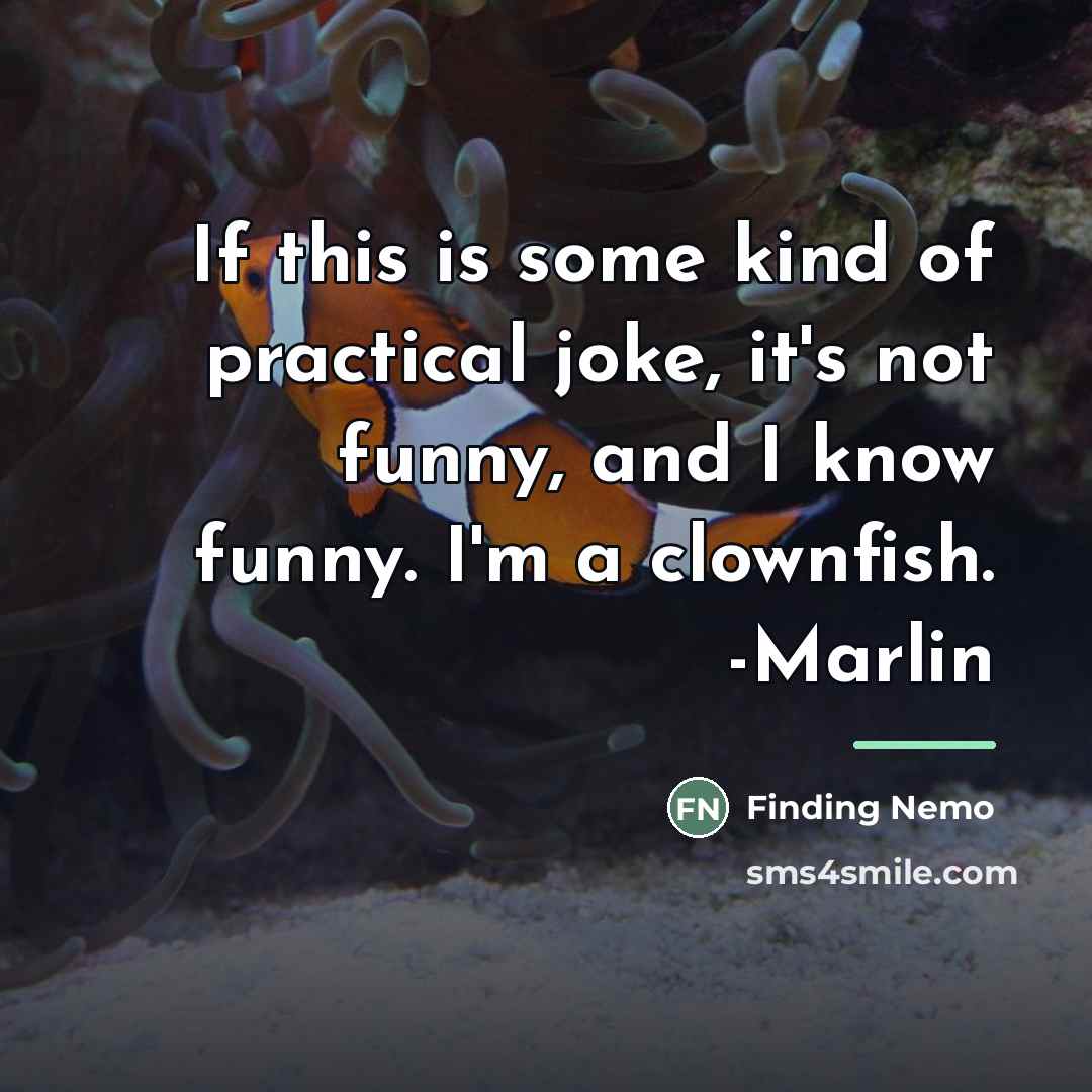 “If this is some kind of practical joke, it's not…” quote by Finding Nemo