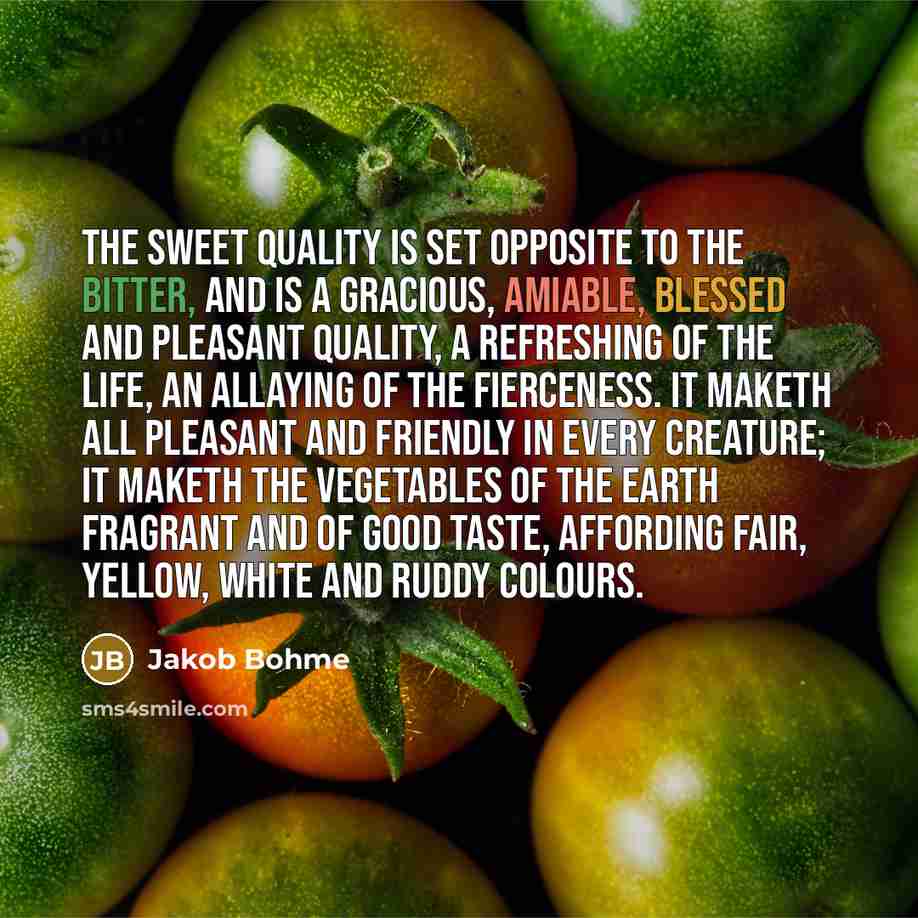 “The sweet quality is set opposite to the bitter, and…” quote by Jakob Bohme
